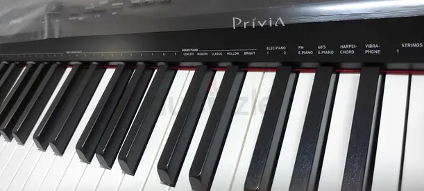 Casio Privia Digital Piano - 88-Key Portable Keyboard