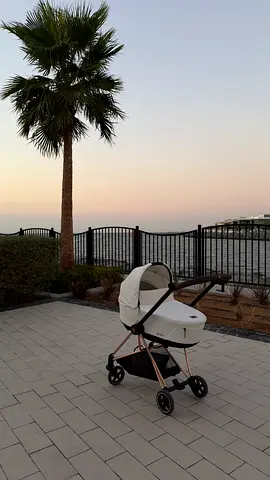 Cybex Mios