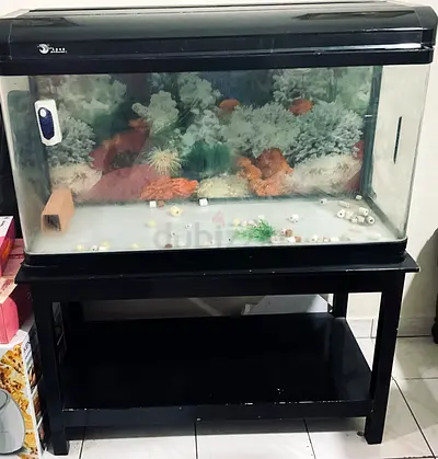 Large Aquarium bundle for sale