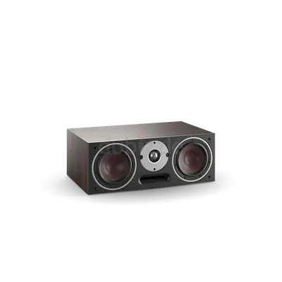 Dali Spektor Vokal Center Speaker