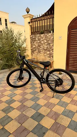Moggo E6000 Electric mountain E-bike