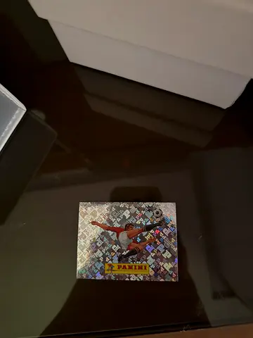 Panini World Cup 00 sticker