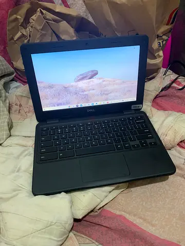 الشارقه النعاون