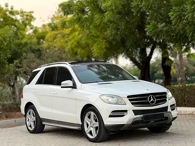 2015 Mercedes-BENZ M-CLASS 照片 3