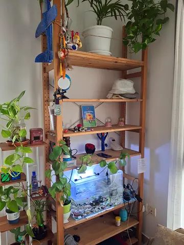 IKEA wooden shelving unit