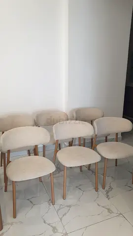 Pan home 6 dining chairs in very good condition like new