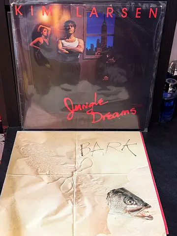 2 Vinyl Records