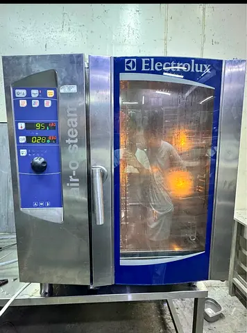 Steam Oven 10 Tray