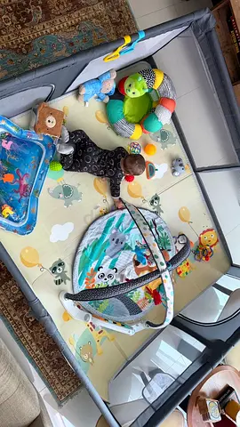 Portable Playpen for Baby