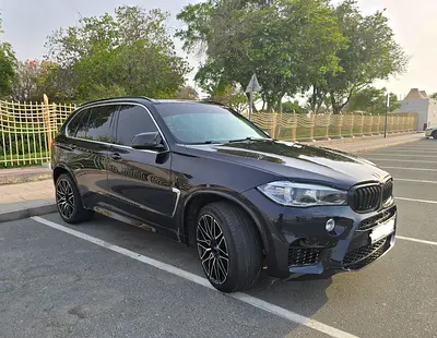 2015 BMW X5 缩略图 3