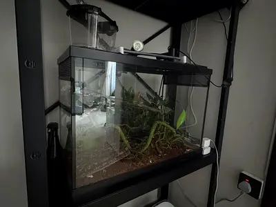 Used glass aquarium