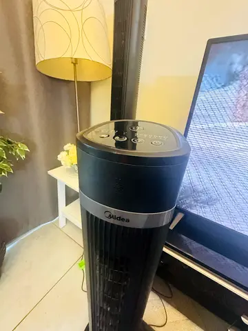 Standing Electric Fans indoor 2