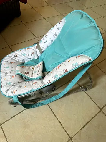 Baby rocker