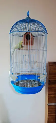 birds cage for sale