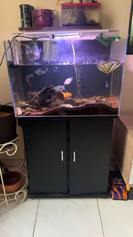 aquarium