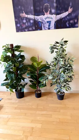 Set of 3 Artificial Indoor Potted Plants 70 aed each