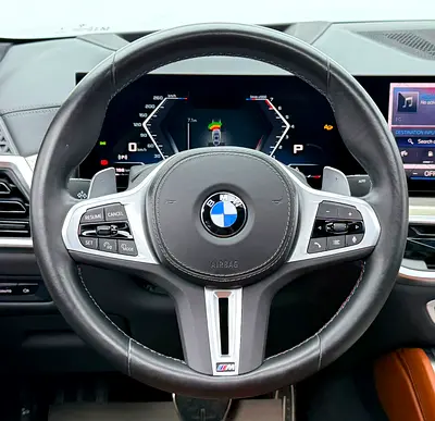 2024 BMW X6 — миниатюра 15
