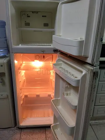 Used Top-Freezer Refrigerator - Working Light, Needs Cleaning