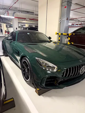 Mercedes-Benz AMG GTR PRO