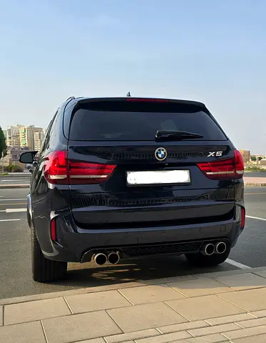 2015 BMW X5 缩略图 2