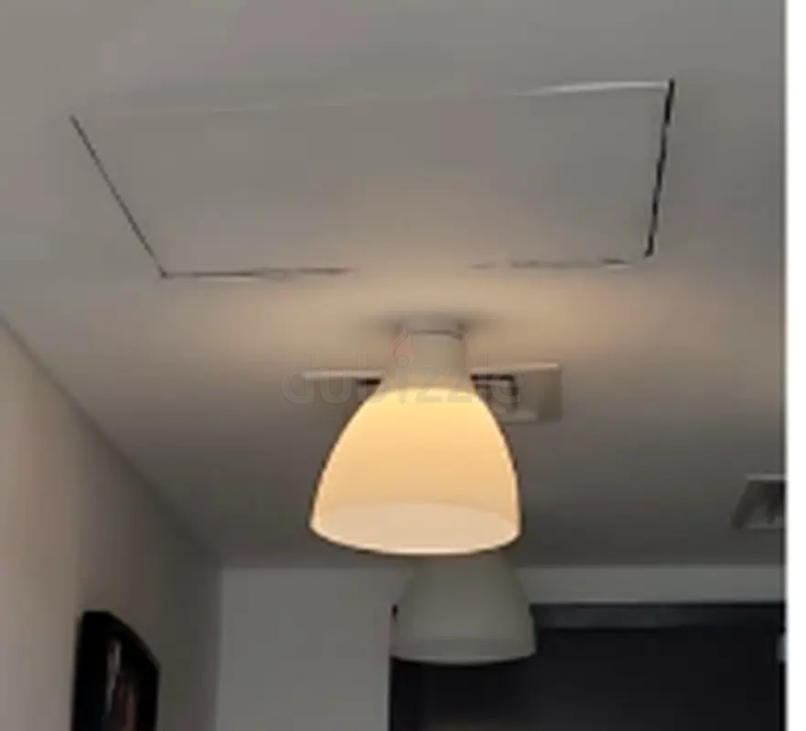 DPV_View_Image_2