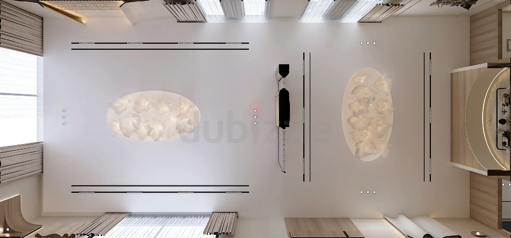 DPV_View_Image_9