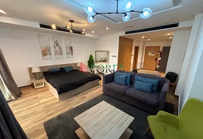 Upgraded Studio | Fully Furnished | Vacant