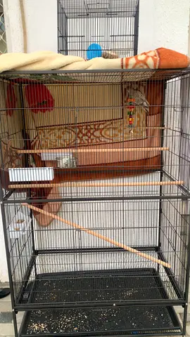 Large Multi-Level Bird Cage with Perches and Accessories