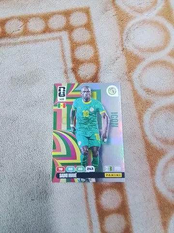 Panini