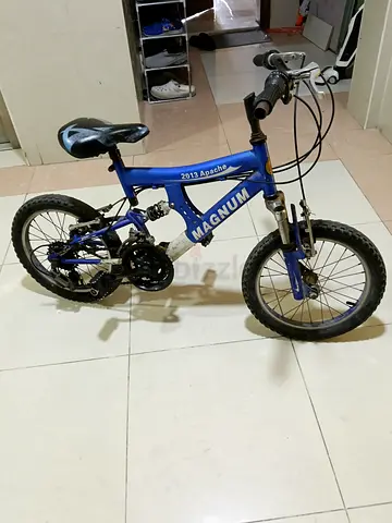 Blue Magnum 2013 Apache Kids Mountain Bike - 16 inch