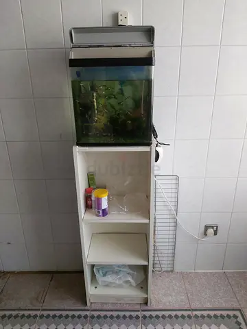 Used Aquarium with Stand – Good Condition