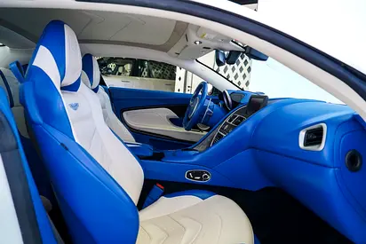 2019 Aston Martin DBS 照片 14
