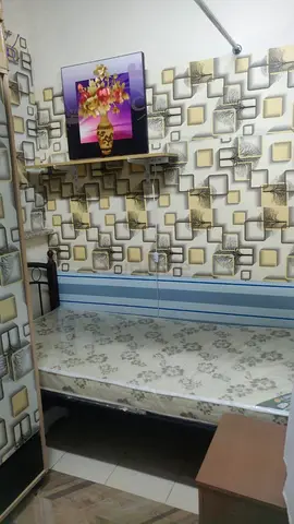 Executive Partition Single Bed For Male Muslim England X-Cluster