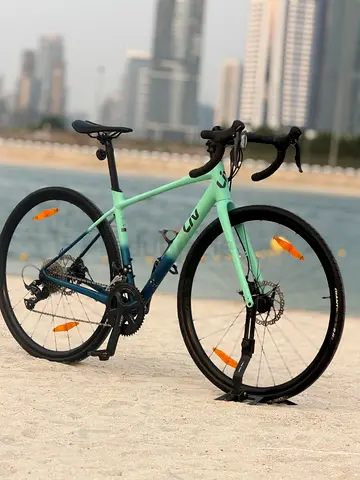 Giant liv road bike small size