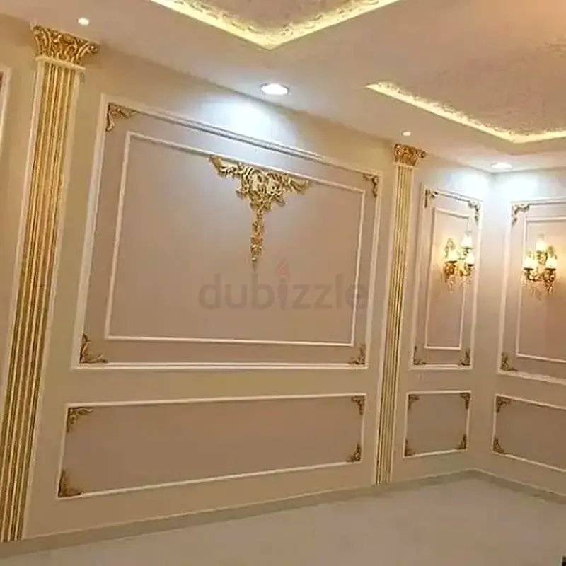 DPV_View_Image_8