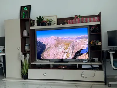 Entertainment Unit