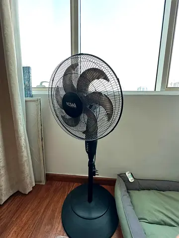 Stand Fan
