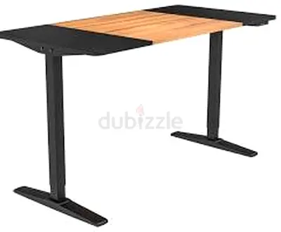 Electric Standing Desk Legs/Frame ONLY – Fully Functional (With Screws)