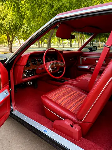 1978 FORD THUNDERBIRD 照片 18