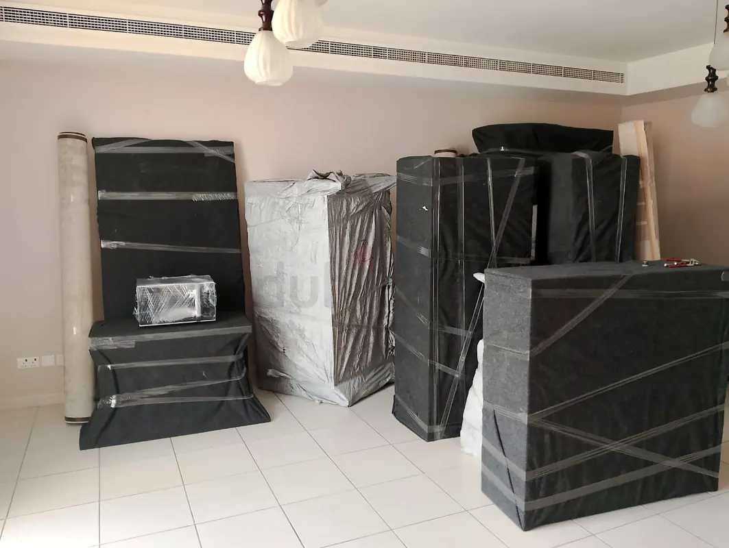 DPV_View_Image_2