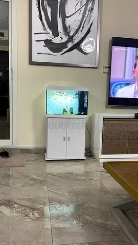 Complete Aquarium with Stand, Hood and Accessories - Ready to Use