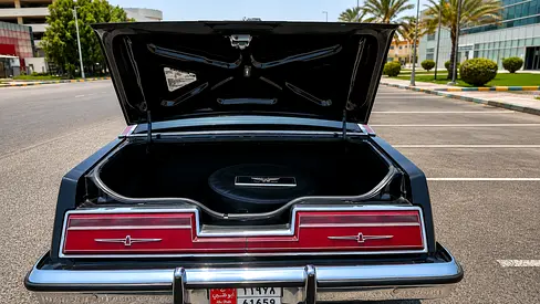 1978 FORD THUNDERBIRD 照片 17