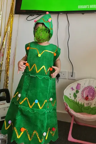 Green Christmas Tree Costume for Child - Dress and Hood (3-6yrs)
