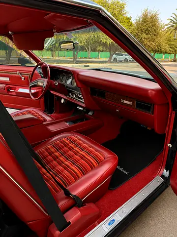 1978 FORD THUNDERBIRD 照片 11