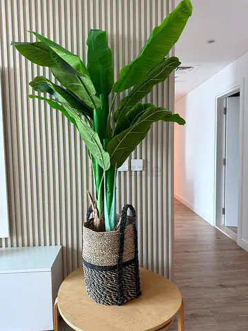 Tall artificial banana/large indoor plant in woven basket - excellent condition