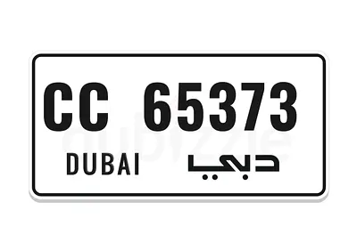 65373