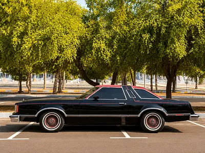 1978 FORD THUNDERBIRD 照片 7