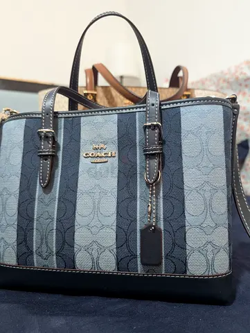Coach Blue Signature Canvas Striped Handbag