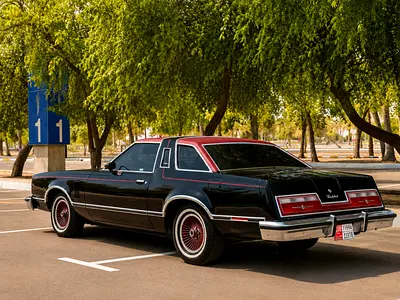 1978 FORD THUNDERBIRD 照片 3