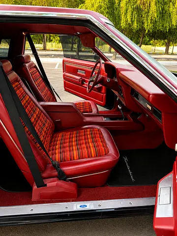 1978 FORD THUNDERBIRD 照片 15